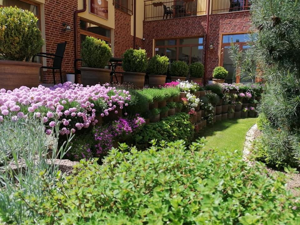 Jolan Pension & Restaurant Cicov ภายนอก รูปภาพ